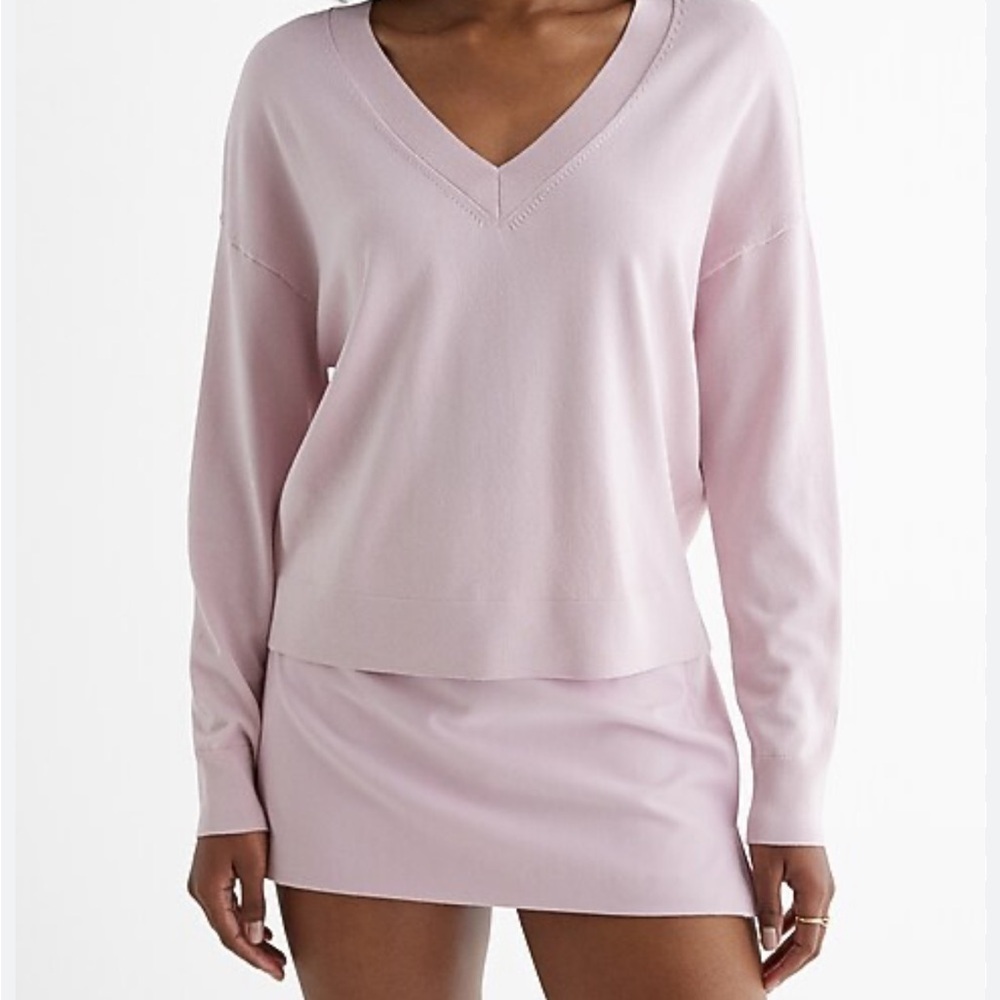 Express Blush Pink Knit sweater